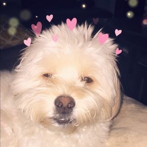 Meet your Posher, Jamie